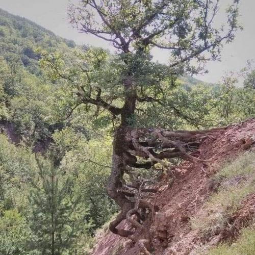 IMG_20200913_001526_772