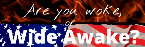 Are you woke_ (1) crop 2