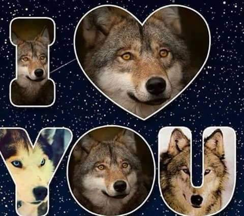 FB_IMG_1587813019575