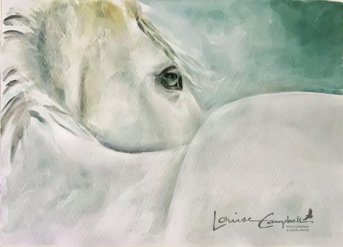 E429839C-1763-40B7-8EA9-C205DB5BC128