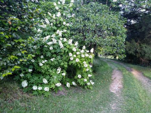 IMG_20200501_182837_02~2