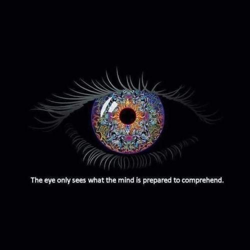 7938E418-6A24-4C14-84D2-C248C2AF121A