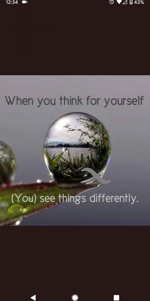 FB_IMG_1592798323852