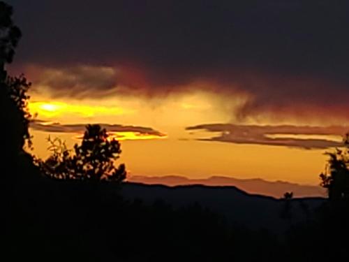 result_1598988024634