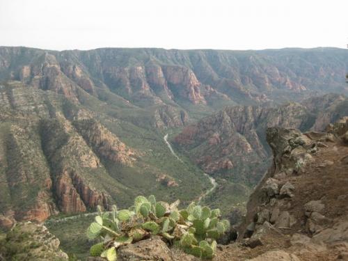 mini-2020-09-11-14h59m31