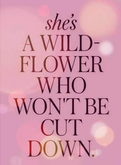 FB_IMG_1599739930568