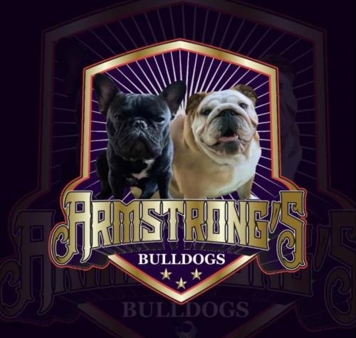 B58F5B73-7BB3-4E85-88A7-05705285B25A