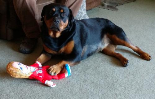 Harley Quinn & Hilary