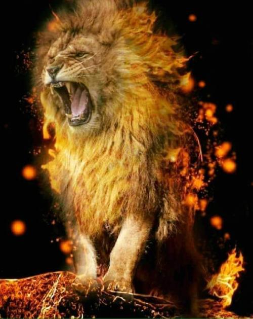 FB_IMG_1593487107513