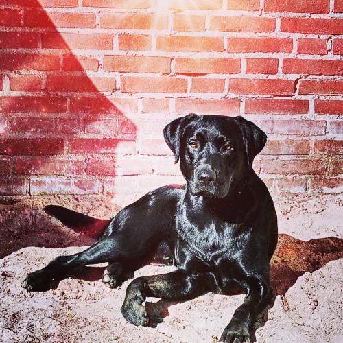 IMG_20200826_080204_915