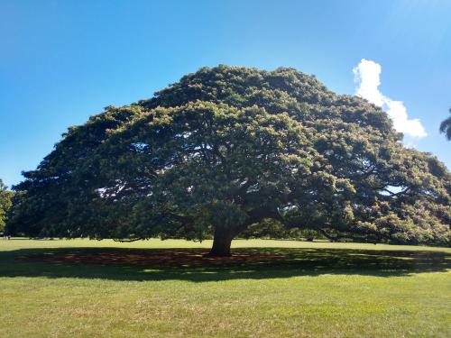 IMG_20191111_133410183_HDR