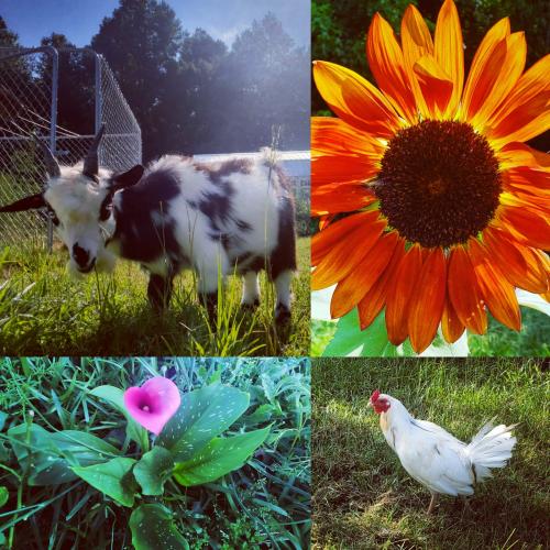 IMG_20200821_192737_189