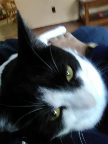 87164980_2604834896293932_2926613066504208384_o