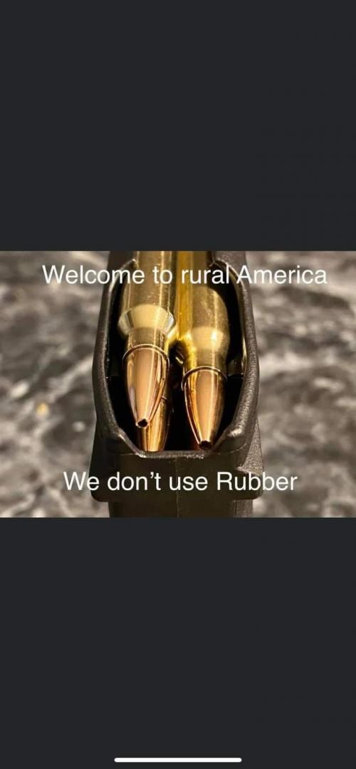 FB_IMG_1597927183286