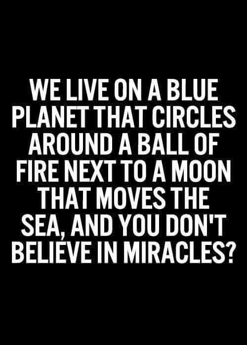 FB_IMG_1503460840309