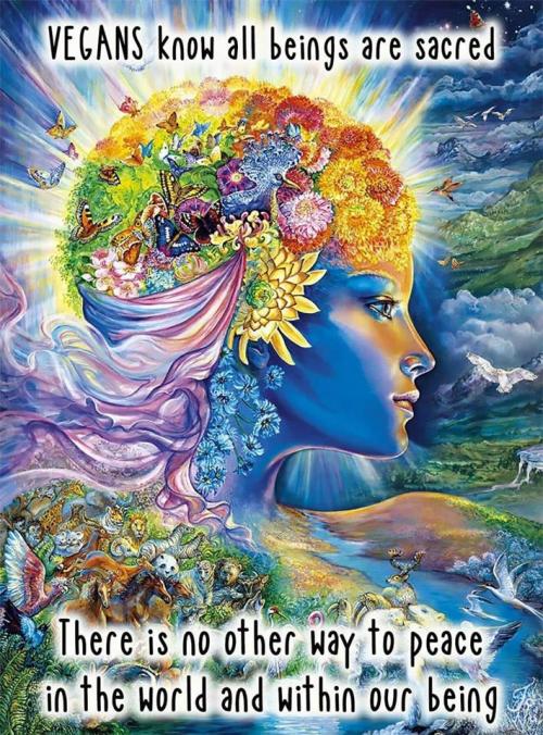 80534202_2792423277445456_7369087058620448768_o