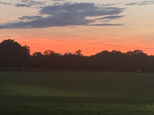 62156220480__3F0993F5-7C7F-48AB-B87F-89DC900BB9D5