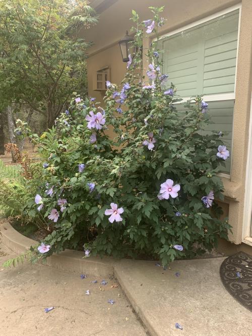 4EC452C1-16C3-4CE8-BD1F-9EEA8EE72E54