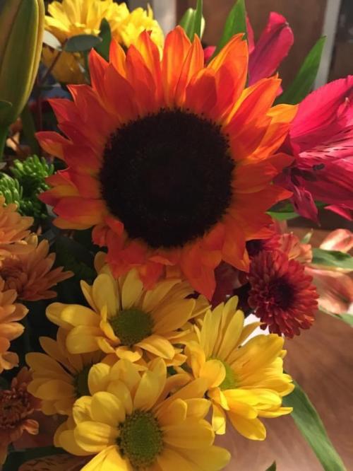 206E5E3D-B798-4E27-ACE4-7C3F86013260