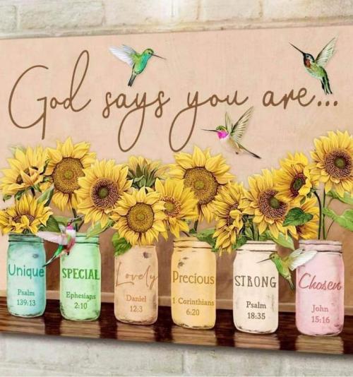 FB_IMG_1598143715100