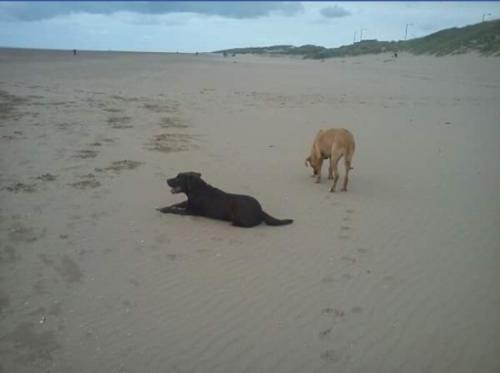 0E157931-58FC-4CE6-857A-A08EBCB6236B