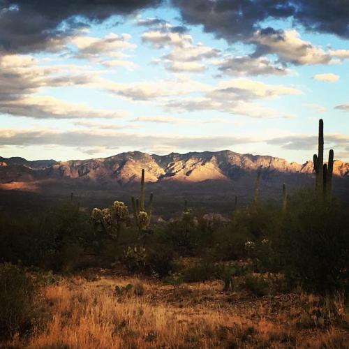 23658610_2056905807864369_8459690319416575767_n copy