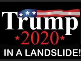 Trump 2020 landslid