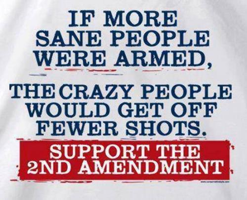 If more sane people were armed