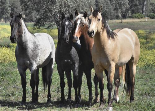 received_354012799311219