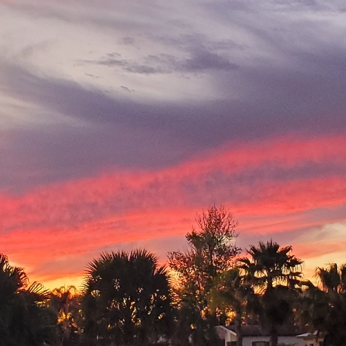 2d9a5e7e-202a-4802-8a5f-b0e32c1205ea