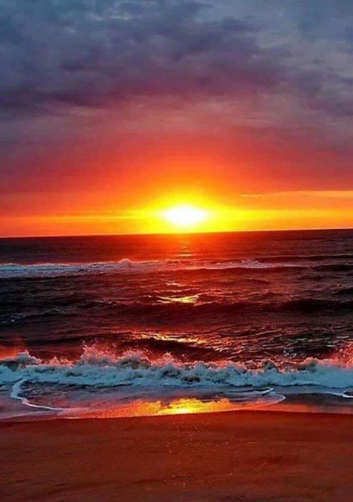 inbound4061973406774545344