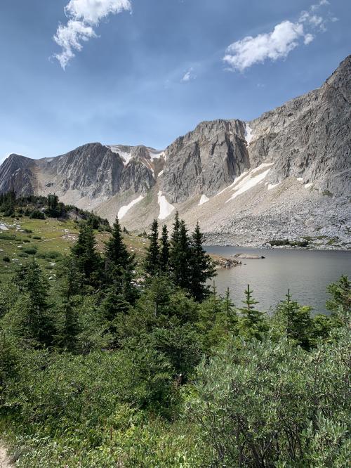 1DE18F84-FAA8-4685-89FF-2581C4137689