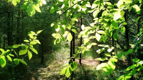 IMG_20170612_085143718