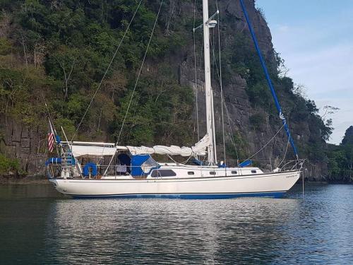 FB_IMG_1541841718917