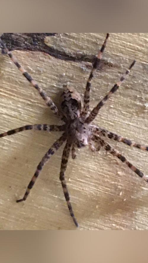 064D0F0E-2E3D-4425-8357-92EA474AC8BD