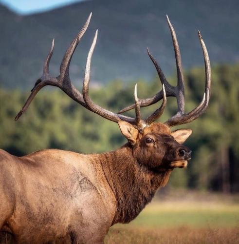 IMG_20190831_040813_201