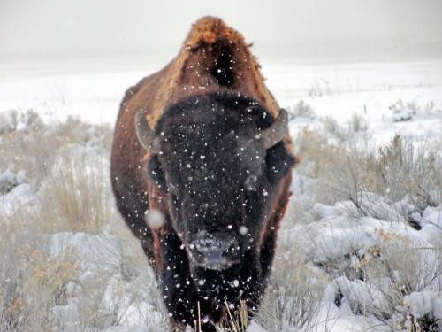 78076061_2916113235066673_8389452897376534528_o