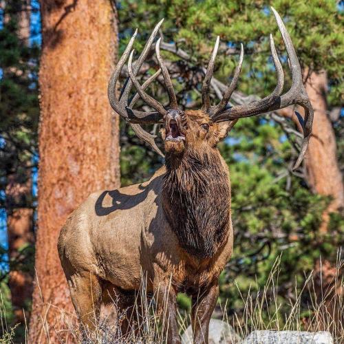 IMG_20190825_185220_512