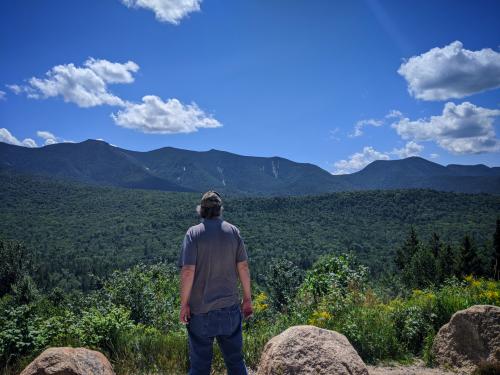 Polish_20200729_152444952