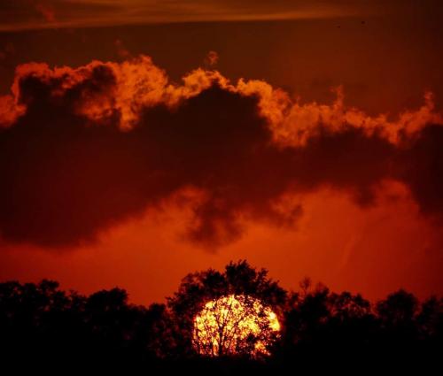 FB_IMG_1598643155111