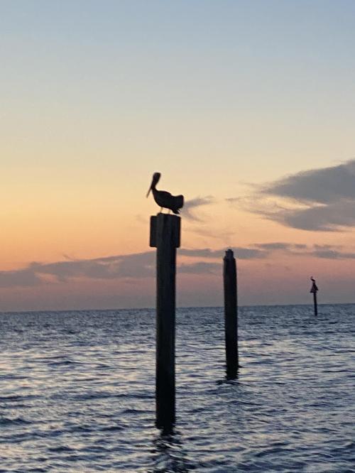 F4577174-CC93-4AA0-99AB-D5547BCADC17