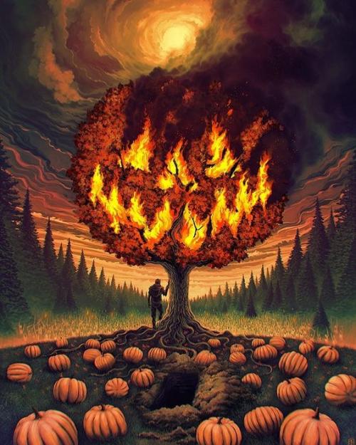 8A4AD720-62EB-4028-9B71-8661F2DEDE36