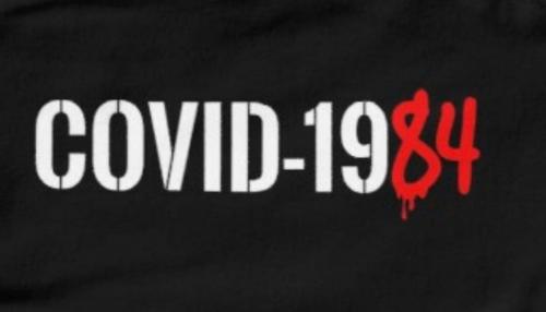 FB_IMG_1599305246092