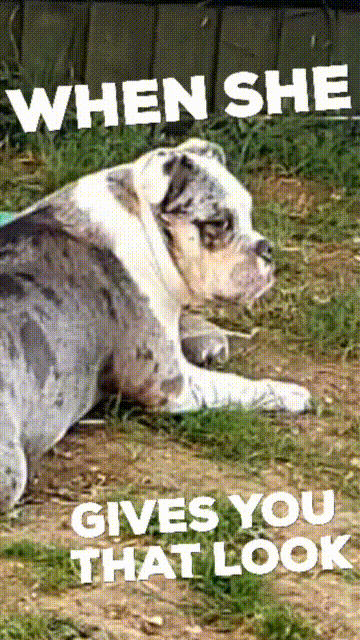 fef104c0-02e5-41f4-a8eb-dd9868a32ca6