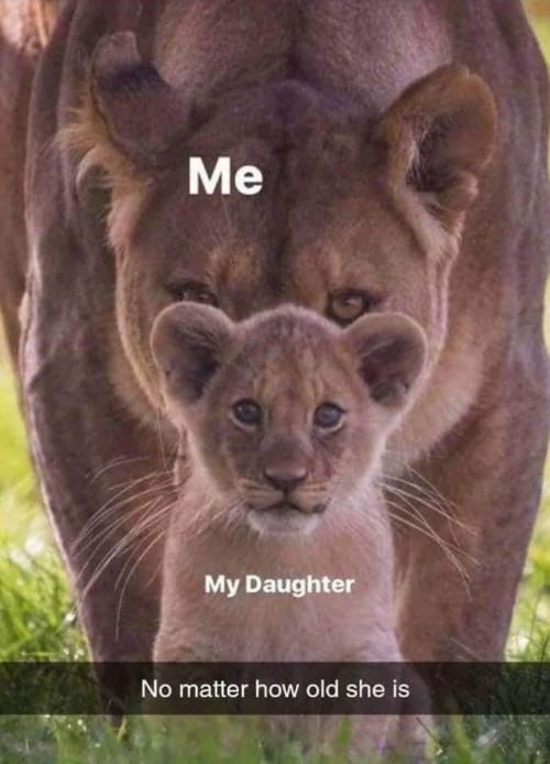 FB_IMG_1598775773302