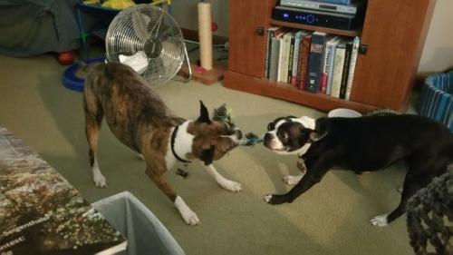 9ac5f3a1cb4ea69b4d0d8e0dad880877