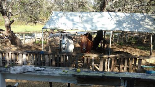 IMG_20180215_151748986