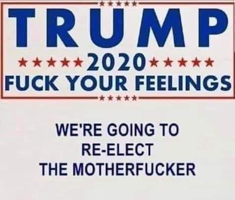 FB_IMG_1597502236377