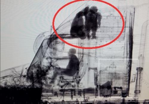 Screenshot_20200914_085426