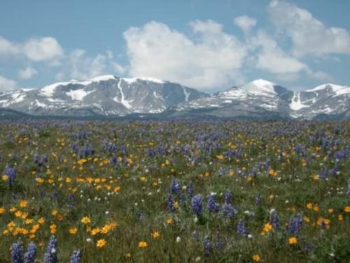 FB_IMG_1597247408584